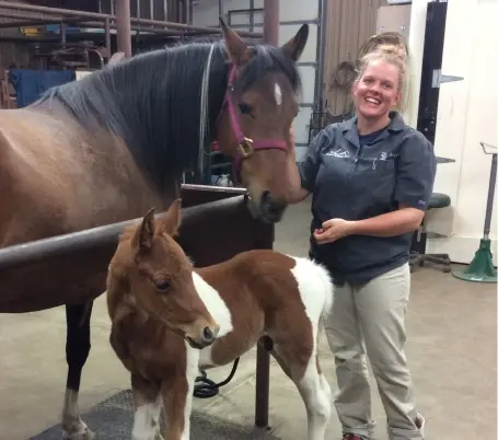Woman smiling with adult horse and foal in equine breeding facility.
