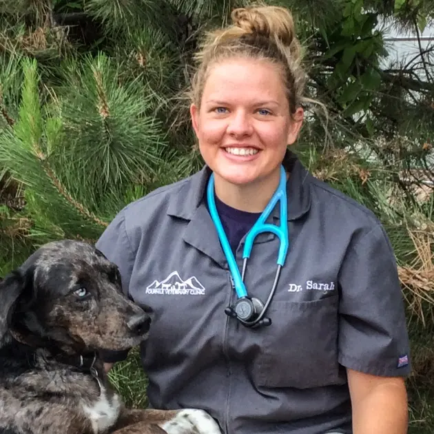 Dr. Sarah Ingram, veterinarian, smiles with a black dog at a Colorado animal clinic.
