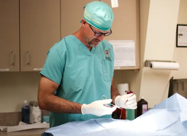 Veterinary surgeon in surgical attire preparing instruments for pet surgery procedure.